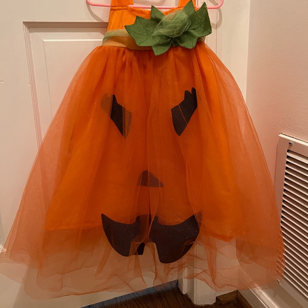 Pottery Barn pumpkin costume/Tutu